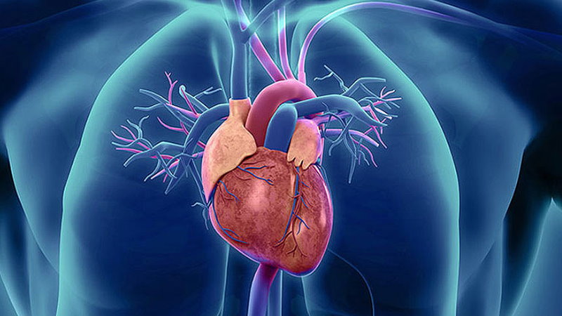 CBD THC kołatanie serca