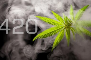 420 – historia symbolu Światowego Dnia Marihuany
